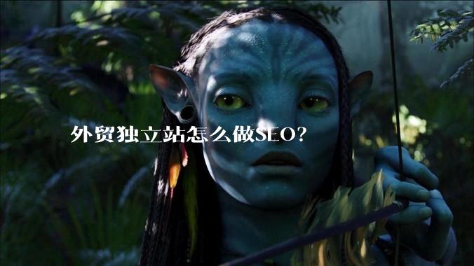 外贸独立站怎么做SEO？